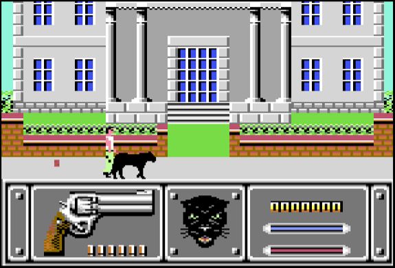 Wild Streets - Commodore 64 game screenshot (1990) by Titus